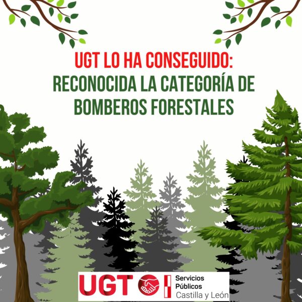 Reconocida la categoría de Bomberos Forestales